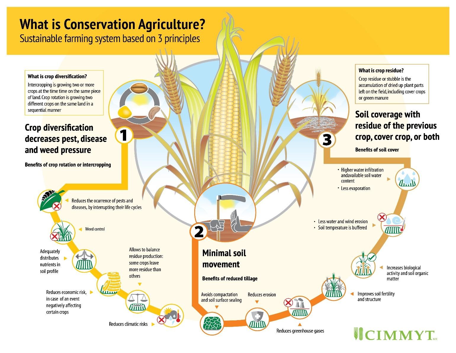 what is conservation agriculture